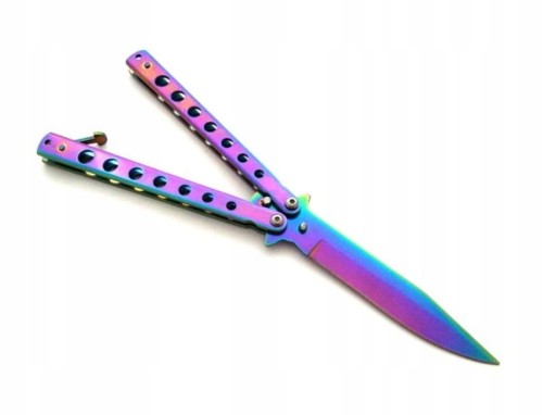 NozMotylekTeczowyMotylekRainbow1.jpg