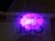 MINIMIKROSKOP 60X LED UV 2.jpg