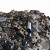 Lancuch_nac_15_cali_0325_64_ogniwa_oryginal3.jpg